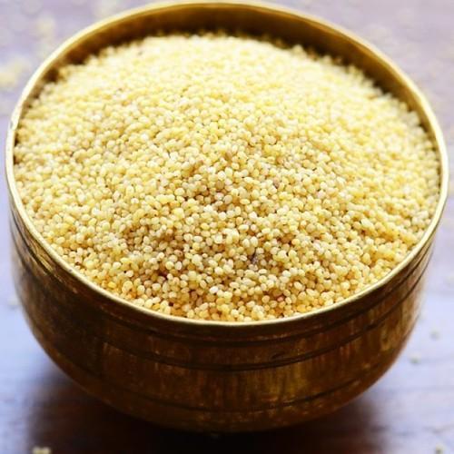 Yellow Colour Nutrients Rich Healthy Pure Foxtail Millet without Added Colors