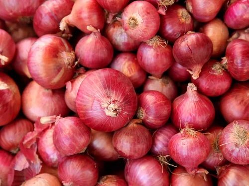 Fresh And Natural Onion With Pungent Aroma And Flavour With 2-3 Days Shelf Life