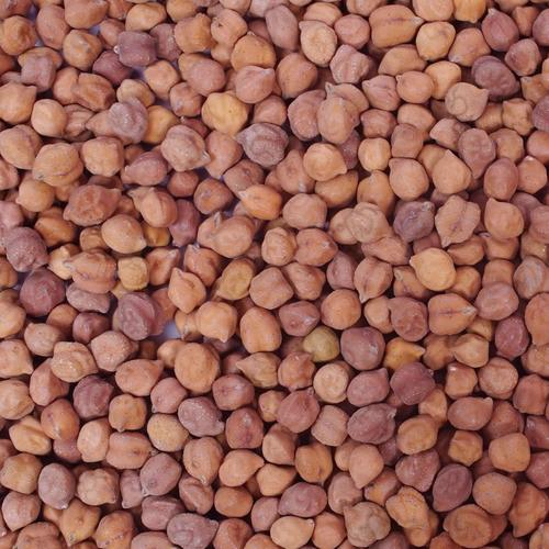 Natural And Organic Pure Raw Black Chickpea With High Nutritious Value