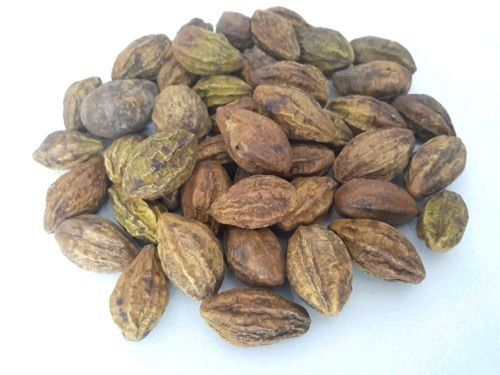 Natural Whole Dried Harad (Terminalia Chebula) For Ayurvedic Medicinal Use