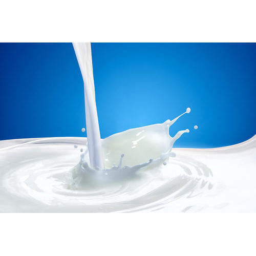Rich In Taste Easy To Digest Healthy And Nutritious Fresh White Cow Milk