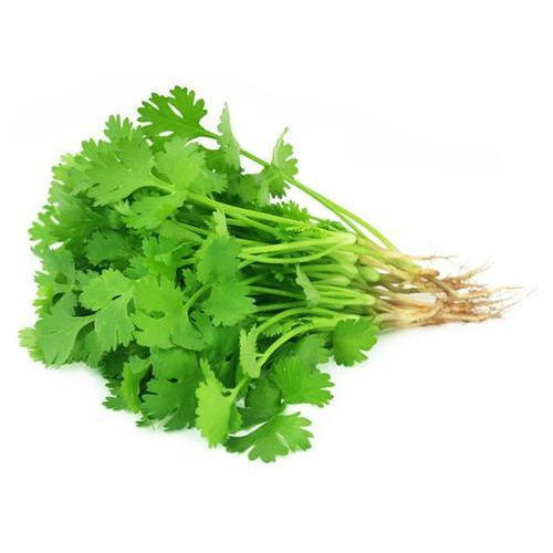 100% Natural and Organic Green Colour And Fresh Nutrients Rich Coriander Leaf