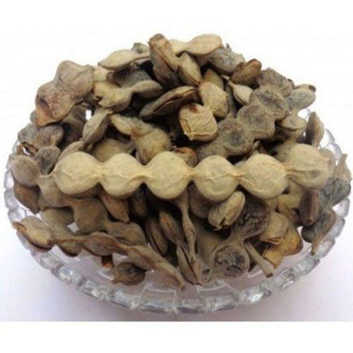 100% Organic Dried Babool Phali (Acacia Arabica) For Ayurvedic Medicinal Use