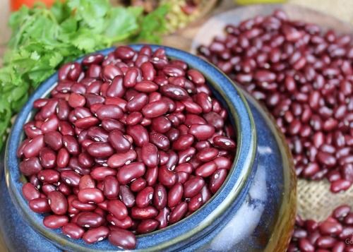 100% Pure And Organic Red Kidney Beans 450gm (Himalayan Red Rajma) With 6 Month Shelf Life