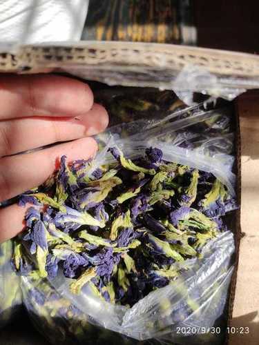 Blue Tea Butterfly Pea Flower High On Anti Oxidants Caffeine Free Herbal Tea