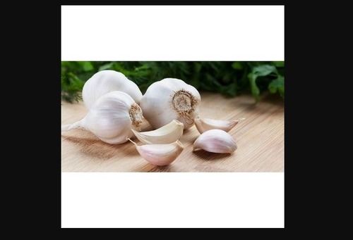 Fresh Crop Garlic For Food Spices With Protein 6.36 G/100 G And 6 Months Shelf Life Moisture (%): 63%