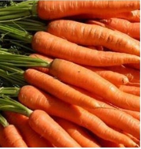  ताजा प्राकृतिक और लंबे समय तक ताजा रहें ऑरेंज ऑर्गेनिक गाजर 