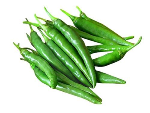 Fresh, Nutrients Rich and Spicy Flavour Organic Green Chilli
