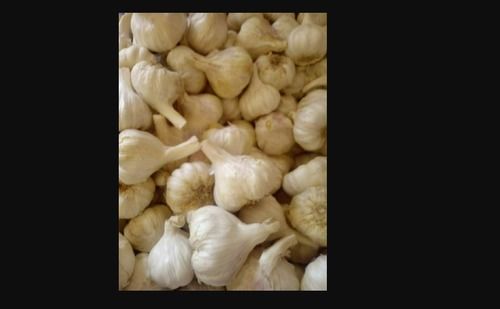 Round India White Fresh Garlic With Protein 6.36 G/100 G And 6 Months Shelf Life, 63% Moisture