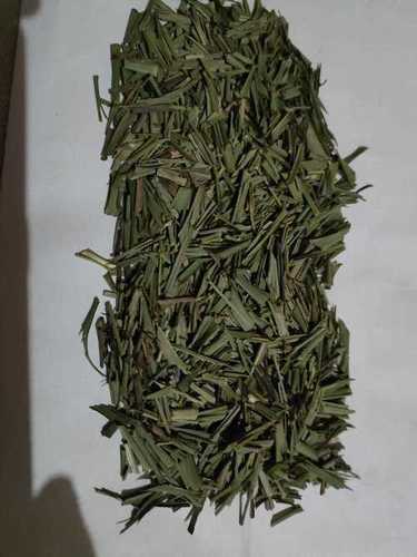 Light Weight Natural Dried Structure Lemongrass Woodsy Flavor Green Leaves Lemon