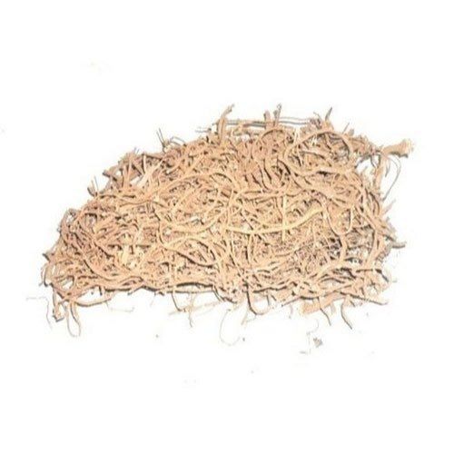 Organic Dried Pipla Mool (Piper Longum) Roots For Ayurvedic Medicinal Use