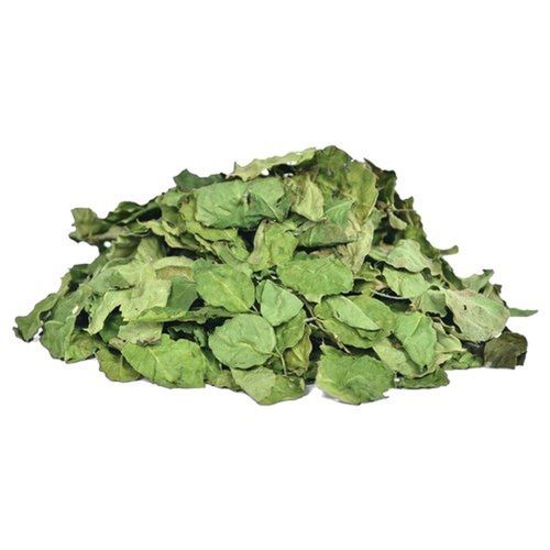 Organic Green Dried Moringa Oleifera Leaves For Ayurvedic Medicinal Use