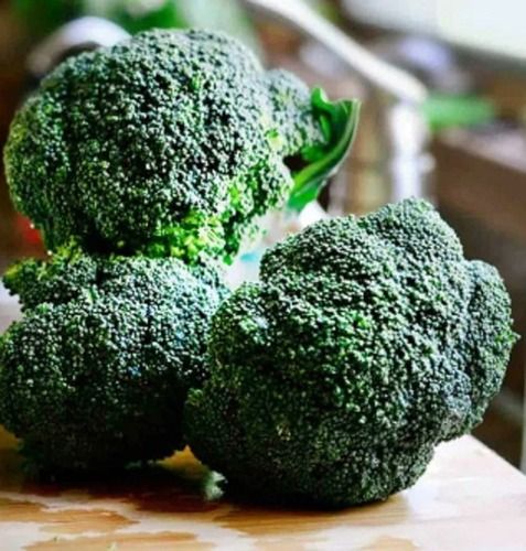 Organically Grown 100% Fresh And Natural Green Hydroponic Broccoli