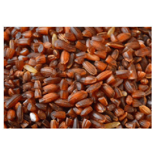 Organic Red Colored Mapillai Samba Rice Without Added Colors