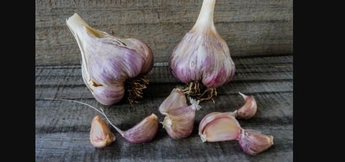 Subtropical Fresh Garlic With Protein 6.36 G/100 G And 6 Months Shelf Life Moisture (%): 63%