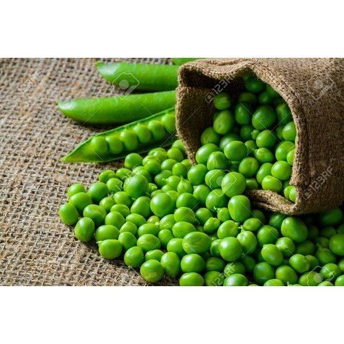 100% Natural and Organic A Grade Fresh Green Color Peas