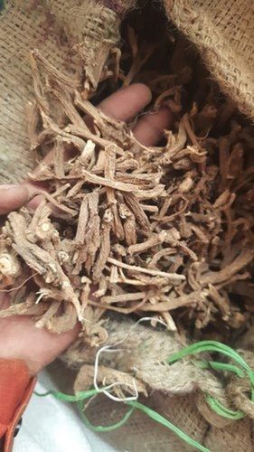 100% Natural Dried Dandelion Root (Taraxacum Officinale) For Medicinal Use