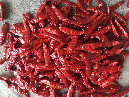 100% Natural Dried Whole Red Chilli 1 Kg For Food Spices With 1 Year Shelf Life