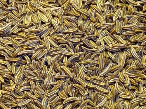 Natural Brown Dried Cumin Seeds 1 Kg For Food Spices With 1 Year Shelf Life Grade: Best