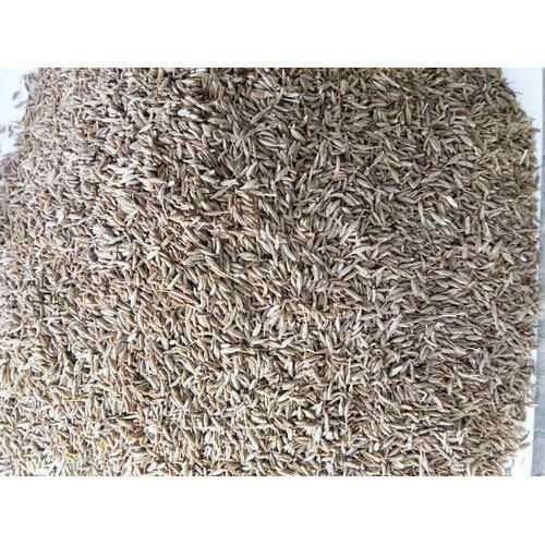 Natural Dried Cumin Seeds 1 Kg For Food Spices With 1 Year Shelf Life And 2% Moisture