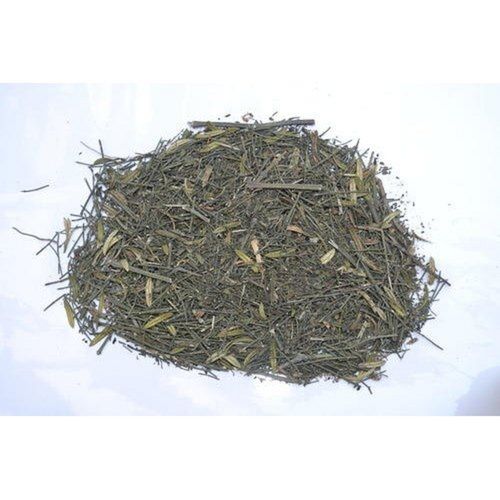 Natural Dried Kalmegh (Andrographis Peniculata) For Ayurvedic Medicinal Use