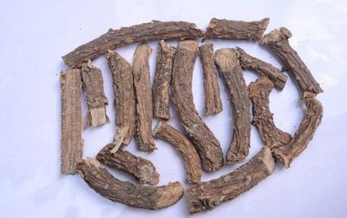 Organic Dried Giloy (Tinospora Cordifolia) Root For Ayurvedic Medicinal Use