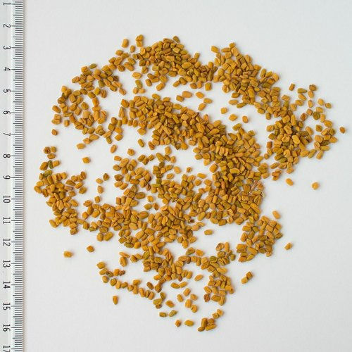 Yellowish And Brown Fenugreek Seed 1 Kg With 1 Year Shelf Life And 2% Moisture