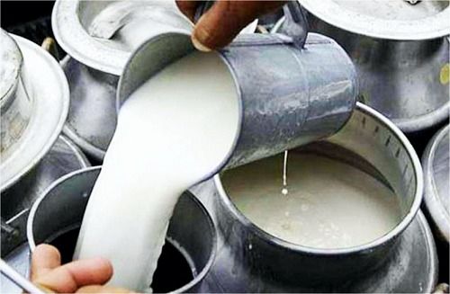 100% Pure Fresh Cow'S Milk With Goodness Of Calcium, Potassium And Iron