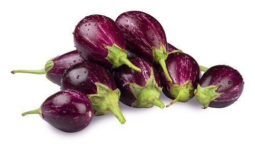 A Grade 100% Pure And Organic Farm Fresh And Healthy Brinjal for Cooking