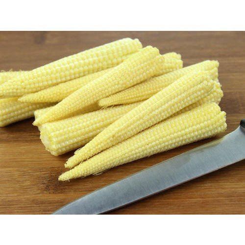 A Grade, Organic And Fresh Baby Corn With High Nutritious Values Broken Ratio (%): 1