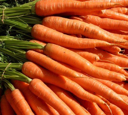A Grade Organic Natural Farm Fresh Orange Colour And Healthy Carrot