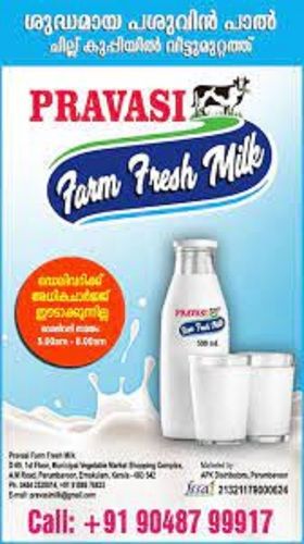 Good For Health, Desi Cow Fresh Milk For Coffee, Cream, Making Tea, Sweet