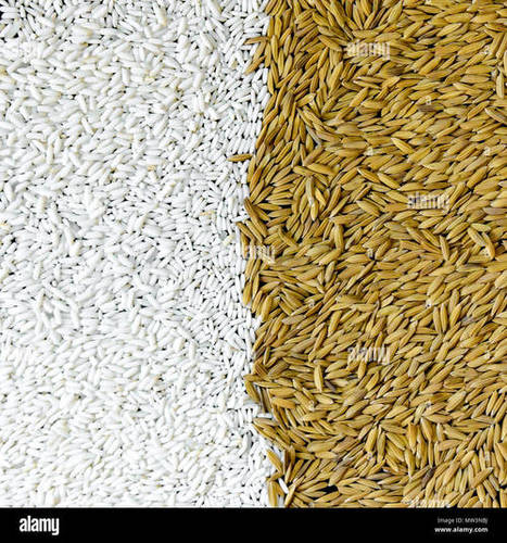 B Grade And Organic Paddy Rice Source Of Dietary Fiber, Magnesium, And Potassium