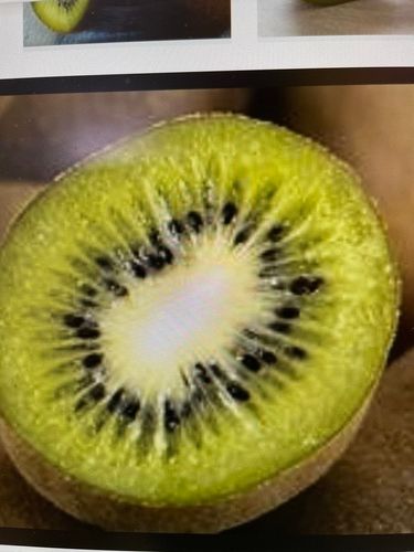 Fresh Kiwi For Human Consumption, Good For Nutrition, Green Color