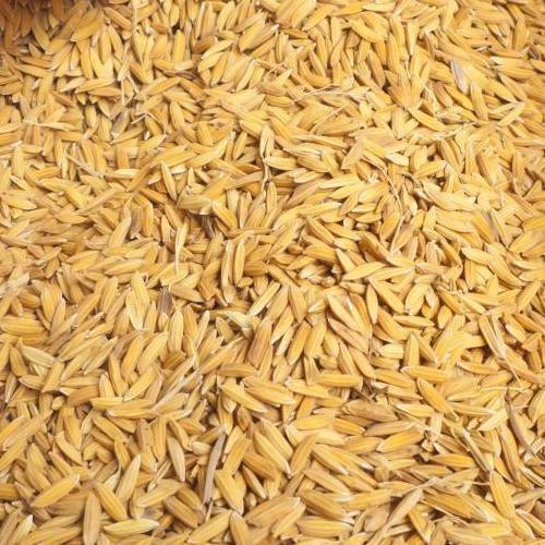High In Fiber And Nutrients Light Brown Colour And Pure Paddy Rice