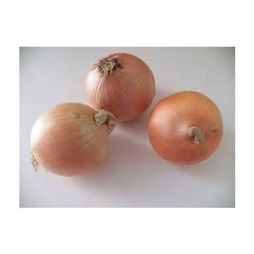 Indian Origin And Organic A Grade Brown Onion With High Nutritious Values