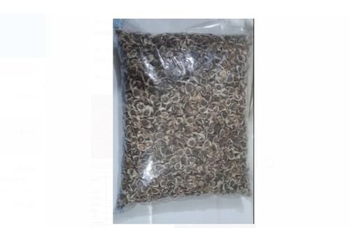 1 Kg Premium Quality Moringa Seeds or Sahjan Seeds For Agriculture Use