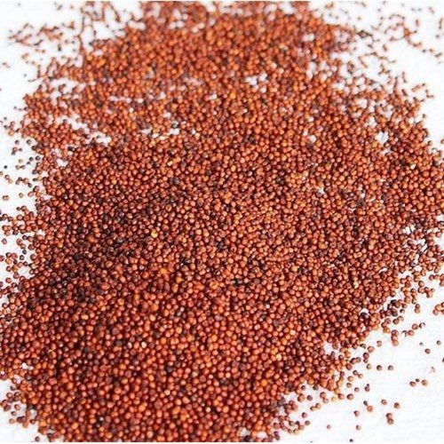 100% Pure & Fresh Finger Millet With 12 Months Shelf Life And 12% Moisture