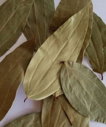 Dried Himalayan Bay Leaf For Food Spices With Natural Arom And 6-12 Months Shelf Life