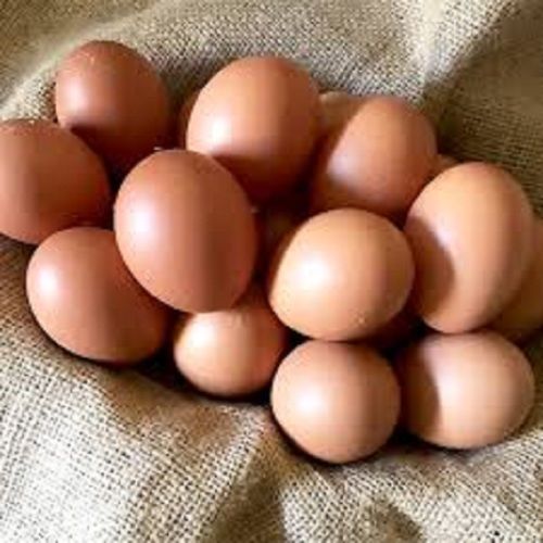 Healthy Vitamins, Minerals, Protein And Nutrition Rich Organic Egg Egg Origin: Chicken