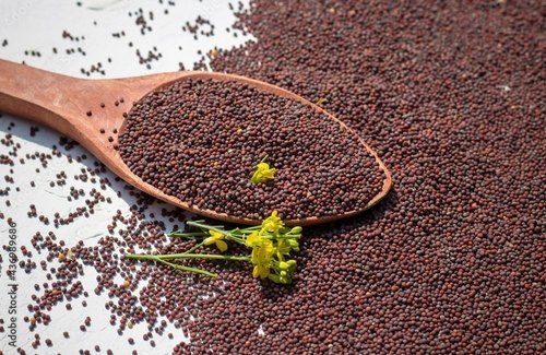 Impurity Free 100% Pure And Natural Mustard Seeds