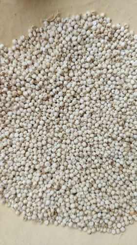 Indian Raw Jowar Grains Seeds (Sorghum) With 12 Months Shelf Life And 12% Moisture Admixture (%): Less Than1%