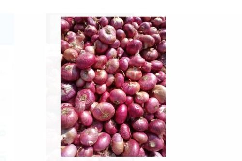 A-Grade Preservatives-Free Round 100% Fresh And Organic Onion Vegetable