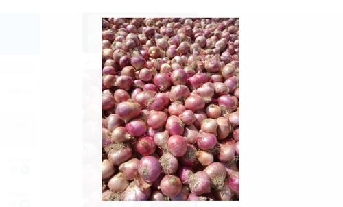 A-Grade Preservatives-Free Round Organic And 100% Fresh Onion Vegetable