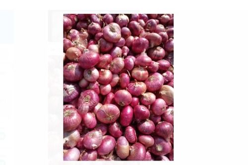 A-Grade Preservatives-Free Round Organic And Pure Fresh Onion Vegetable