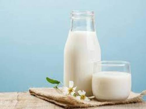 Fresh Cow Raw Milk For Coffee, Cream, Making Tea, Sweet, Good For Health