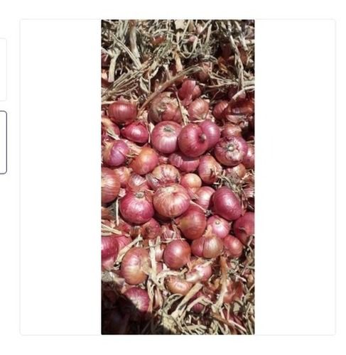 Good For Health Pesticide Free Preservatives Free Organically Grown 100% Fresh Onion