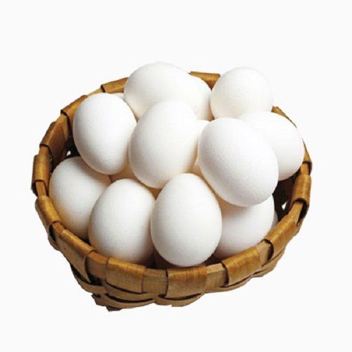  जर्दी और सफेद शेल के साथ सफेद रंग के ताजे अंडे और 2-3 दिन की शेल्फ लाइफ