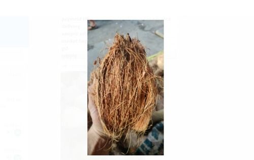 Wholesale Price Fully Husked Bharti Brown Dried Coconut For Human Consumption