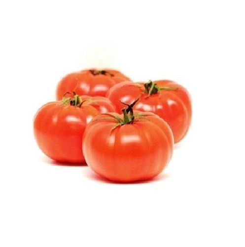 A Grade 100% Pure and Natural Farm Fresh Red Healthy Tomato for Cooking